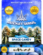 Space Candy Strain Feminized Marijuana Seeds