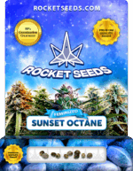 Sunset Octane Strain Feminized Marijuana Seeds