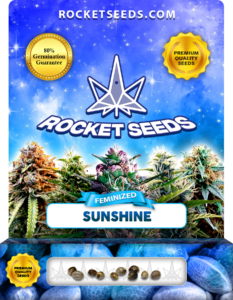 Sunshine Strain Feminized Marijuana Seeds