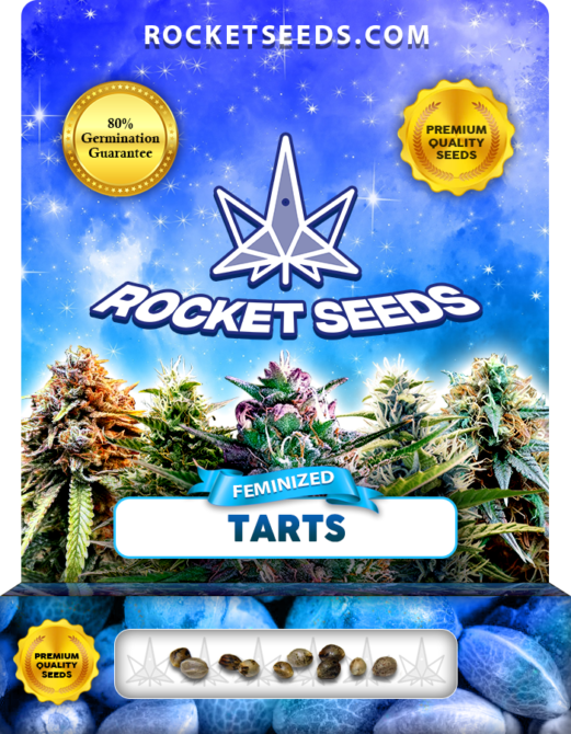 Tarts Strain Feminized