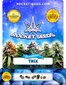 Trix Strain Feminized Marijuana Seeds