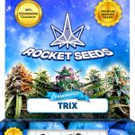 Trix Strain Feminized
