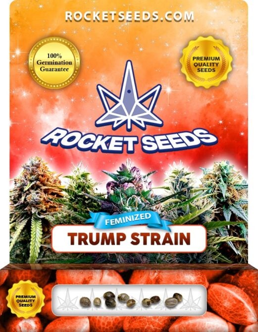 Trump Strain Feminized