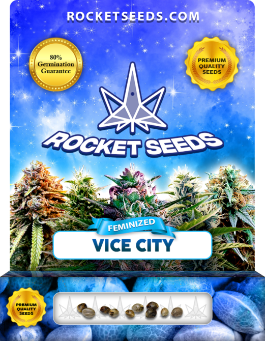 Vice City Strain Feminized