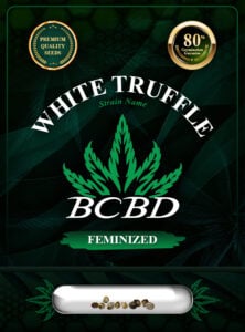 White Truffle Strain Feminized Marijuana Seeds