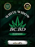 BCBD White Widow Strain Feminized Marijuana Seeds