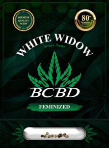 White Widow Strain Feminized Marijuana Seeds