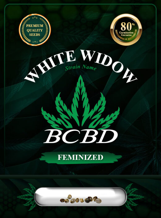 White Widow Strain Feminized