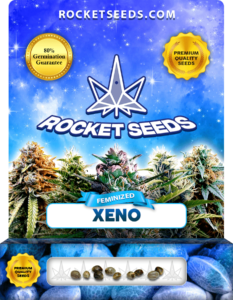 Xeno Strain Feminized Marijuana Seeds