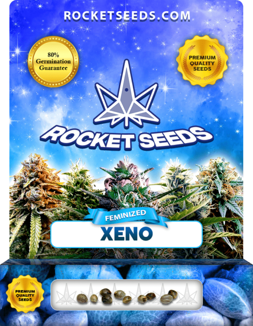 Xeno Strain Feminized