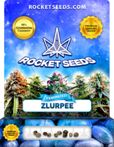 Zlurpee Strain Feminized Marijuana Seeds