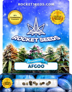 Afgoo Strain Feminized Marijuana Seeds