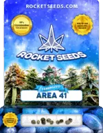 Area 41 Strain Feminized Marijuana Seeds