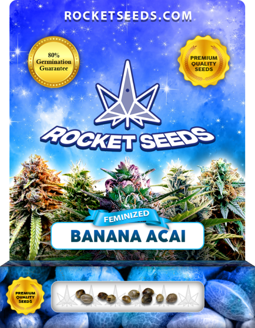 Banana Acai Strain Feminized