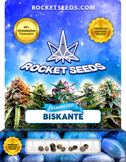 Biskante Strain Feminized