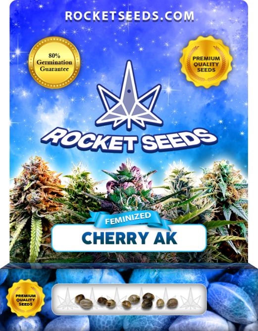 Cherry AK Strain Feminized