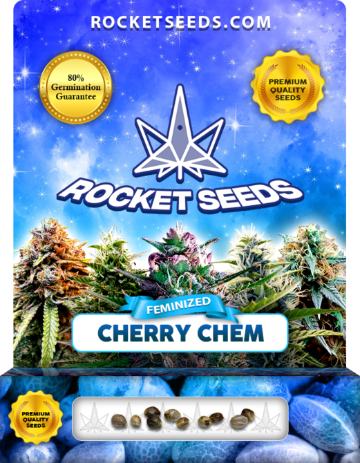 Cherry Chem Strain Feminized