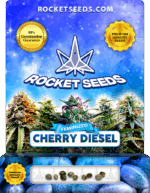 Cherry Diesel Strain Feminized Marijuana Seeds