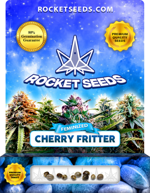 Cherry Fritter Strain Feminized