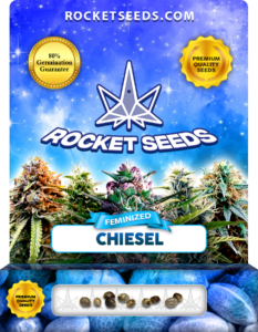 Chiesel Strain Feminized Marijuana Seeds