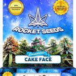 Cake Face Strain Feminized