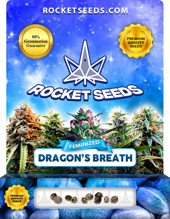 Dragon’s Breath Strain Feminized Marijuana Seeds