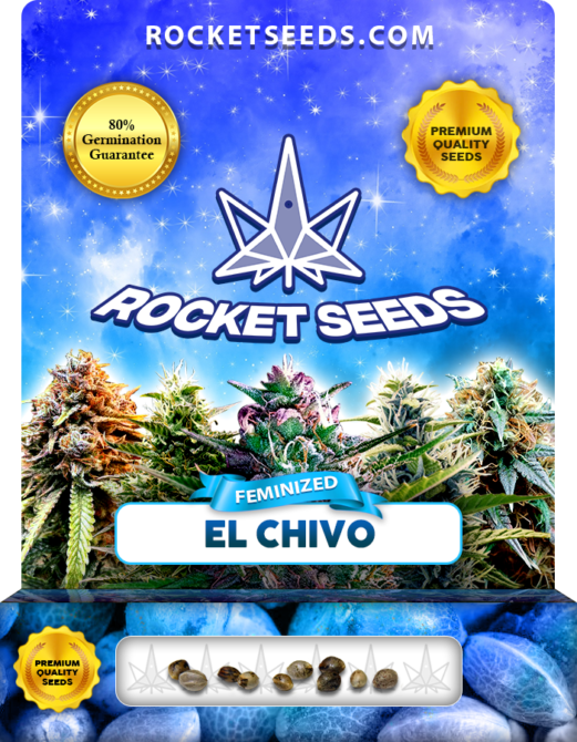 El Chivo Strain Feminized