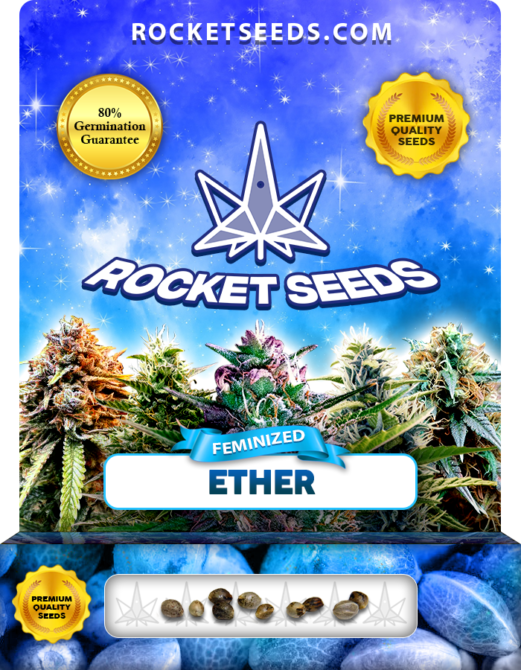 Ether Strain Feminized