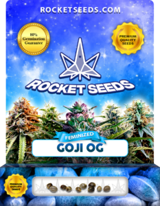 Goji OG Strain Feminized Marijuana Seeds