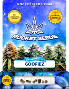 Goofiez Strain Feminized Marijuana Seeds