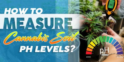 How to Measure Cannabis Soil pH Levels for Optimal Growth