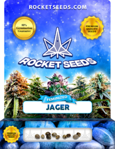 Jager Strain Feminized Marijuana Seeds