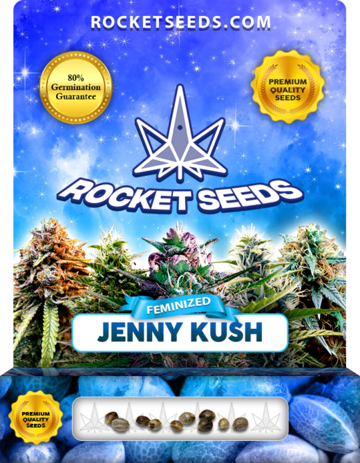 Jenny Kush Feminized