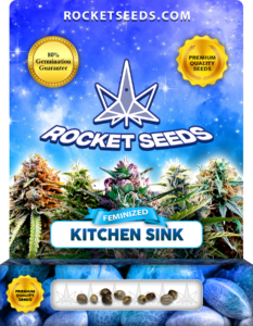 Kitchen Sink Strain Feminized Marijuana Seeds