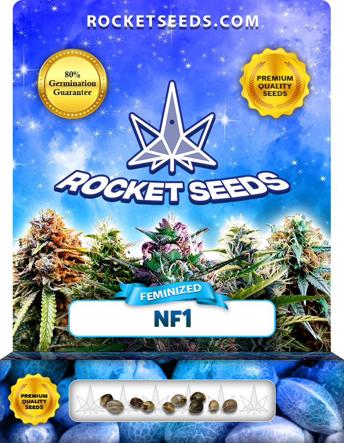 NF1 Strain Feminized Marijuana Seeds