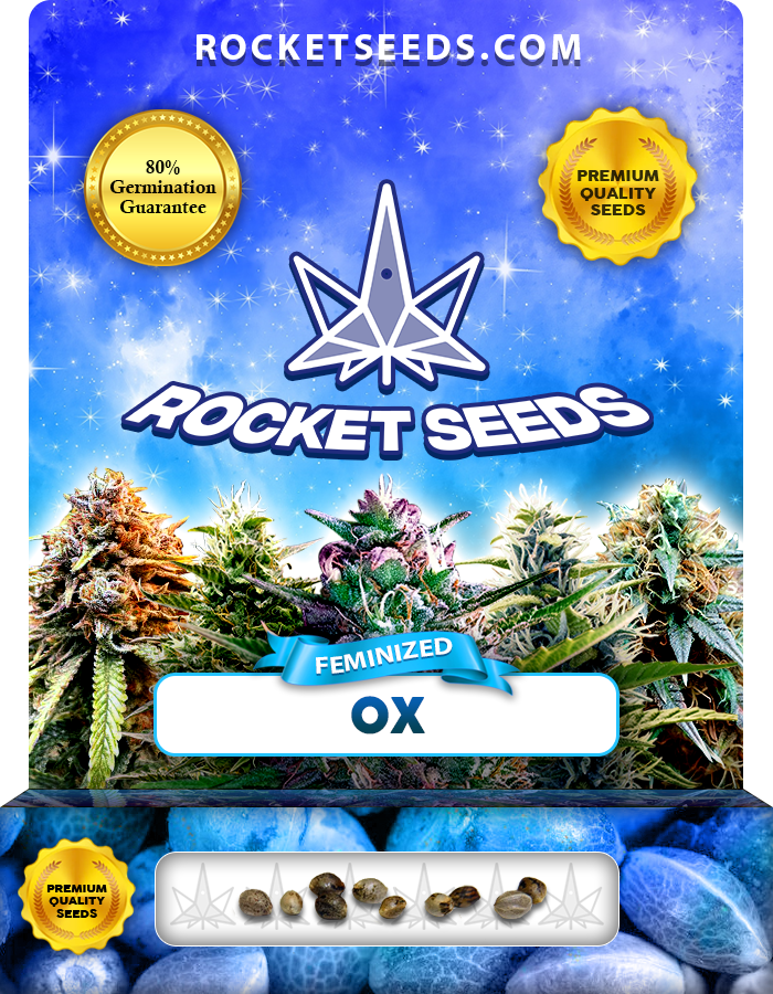 Ox Strain Feminized Marijuana Seeds