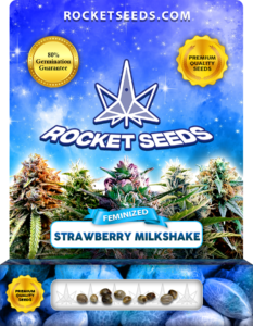 Strawberry Milkshake Strain Feminized Marijuana Seeds