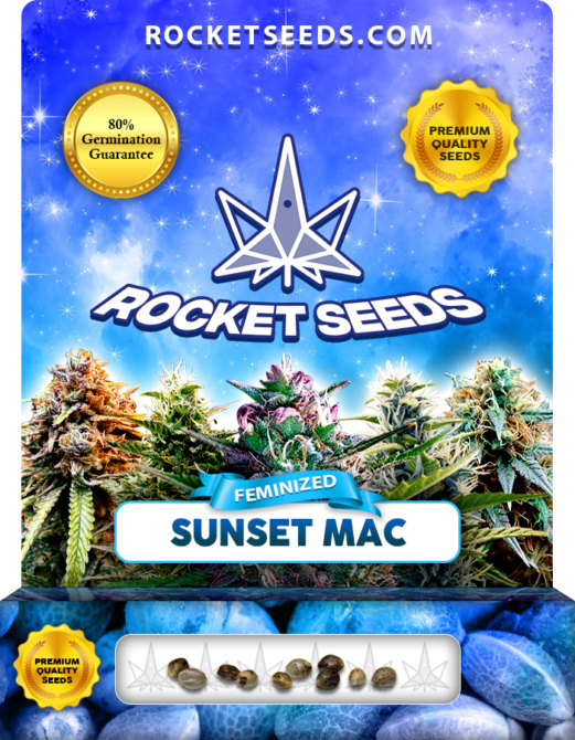 Sunset MAC Strain Feminized