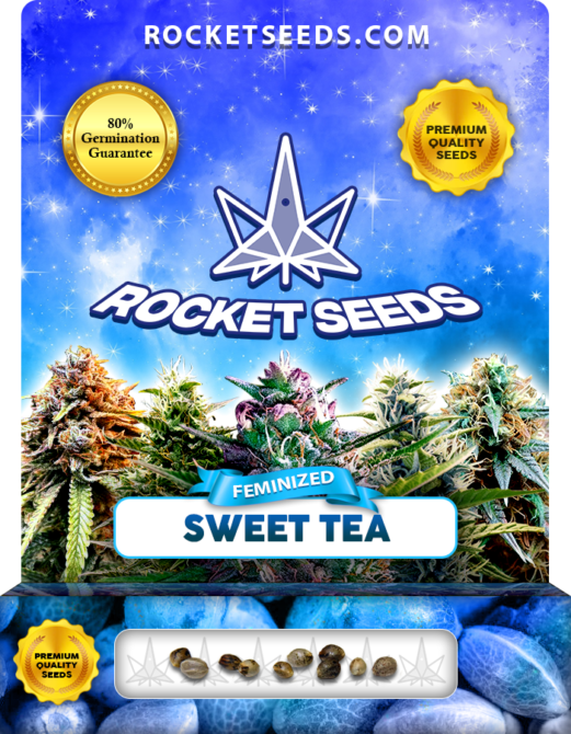 Sweet Tea Strain Feminized