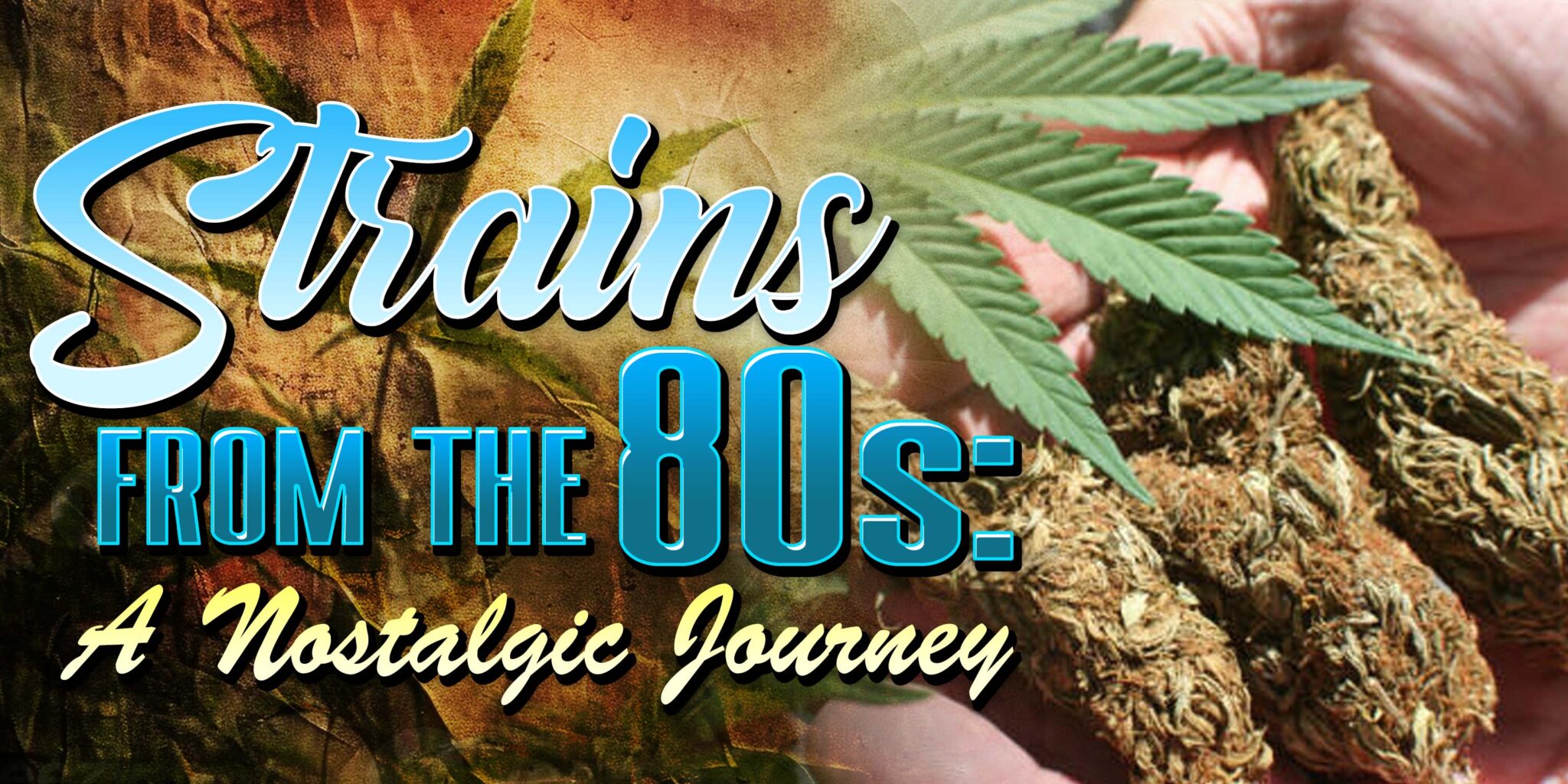 Strains From The 80s: A Nostalgic Journey
