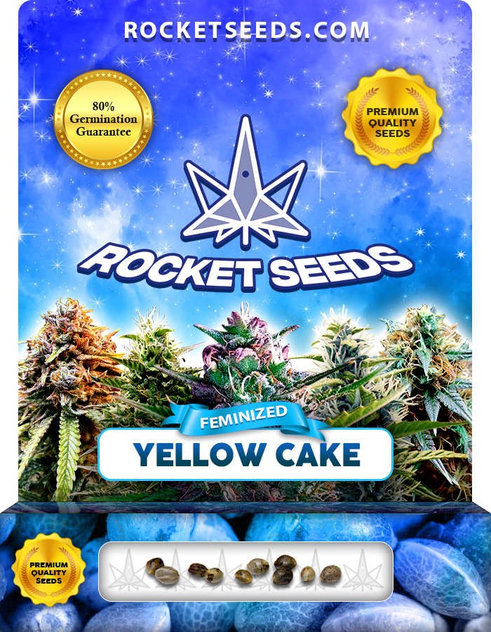 Yellow Cake Strain Feminized Marijuana Seeds