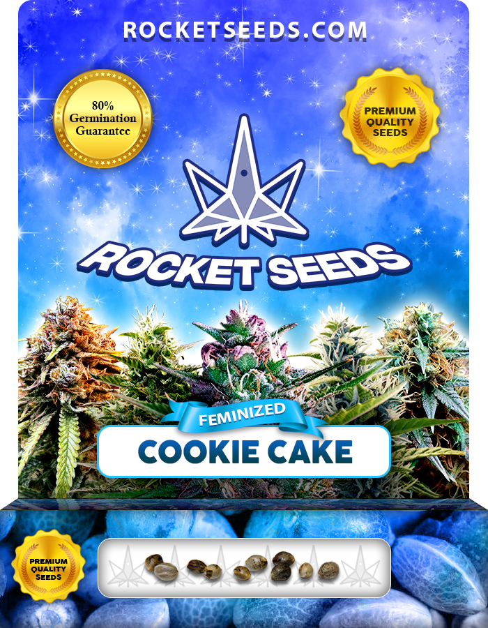 Cookie Cake Strain Feminized Marijuana Seeds