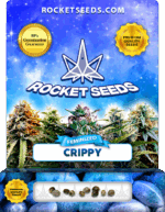 Crippy Strain Feminized Marijuana Seeds