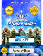Hell Cat Strain Feminized Marijuana Seeds
