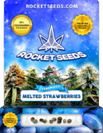 Melted Strawberries Strain Feminized Marijuana Seeds