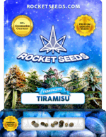 Tiramisu Strain Feminized Marijuana Seeds