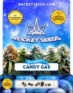Candy Gas Strain Feminized Marijuana Seeds