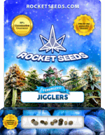 Jigglers Strain Feminized Marijuana Seeds