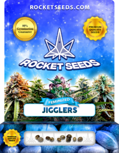 Jigglers Strain Feminized Marijuana Seeds