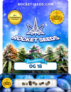 OG 18 Strain Feminized Marijuana Seeds